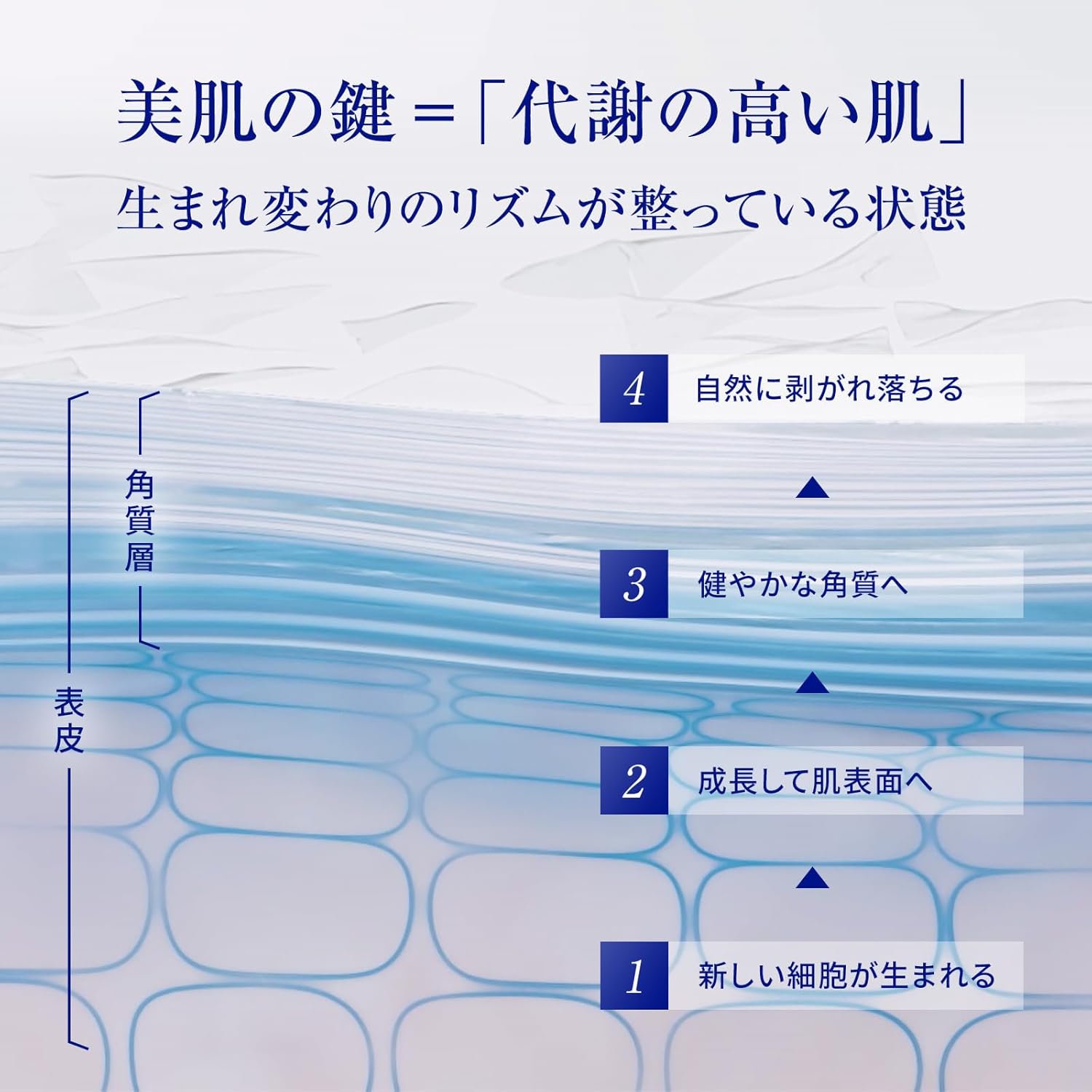 71dSnq2UCUL._AC_SL1500_