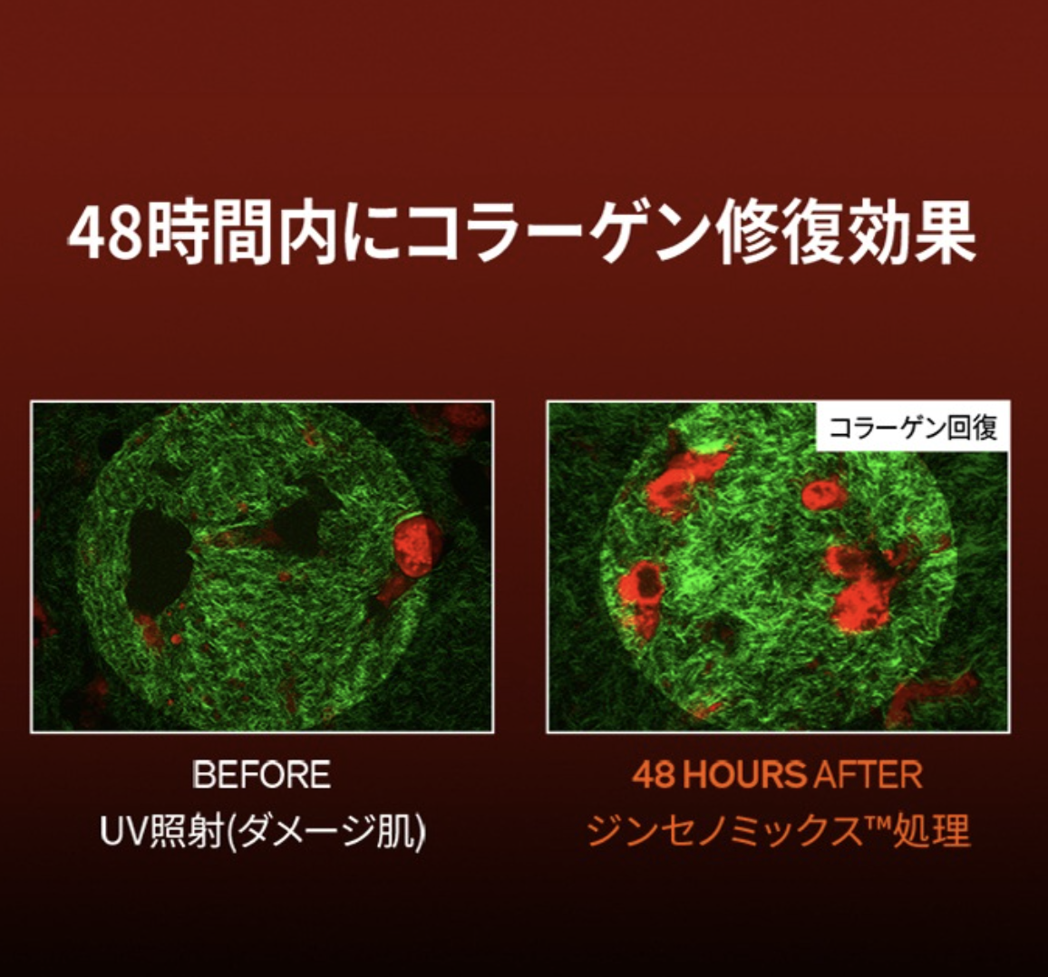 Captura de Tela 2026-03-14 às 13.52.02